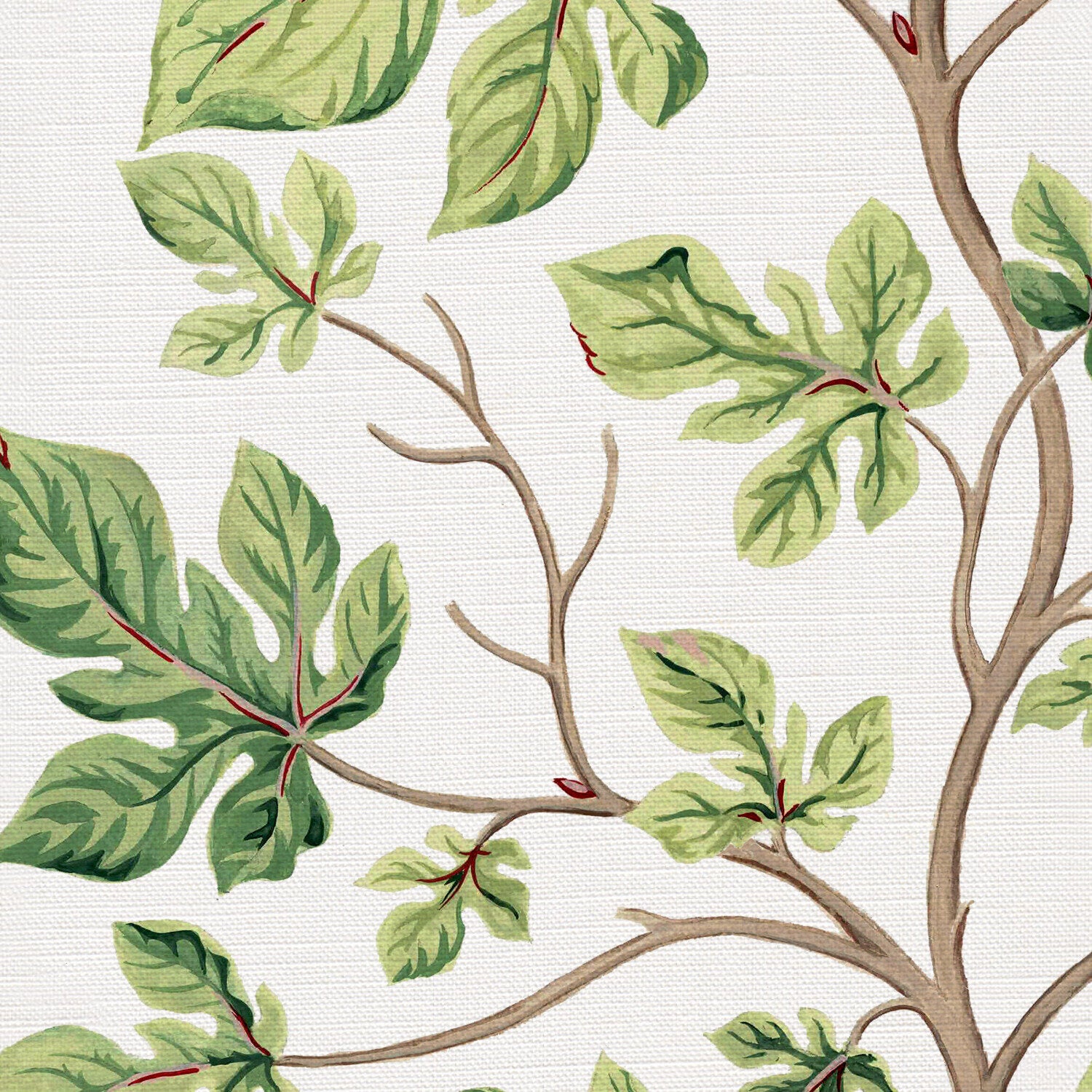CW: Bright green | BASE: Luxury Linen | HERO