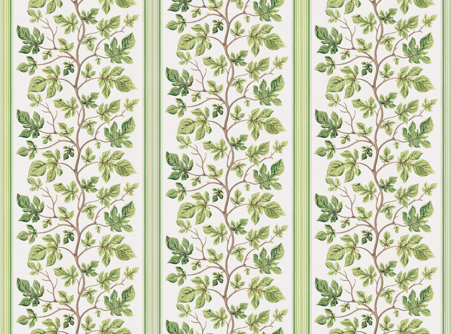 CW: Bright green | BASE: Luxury Linen