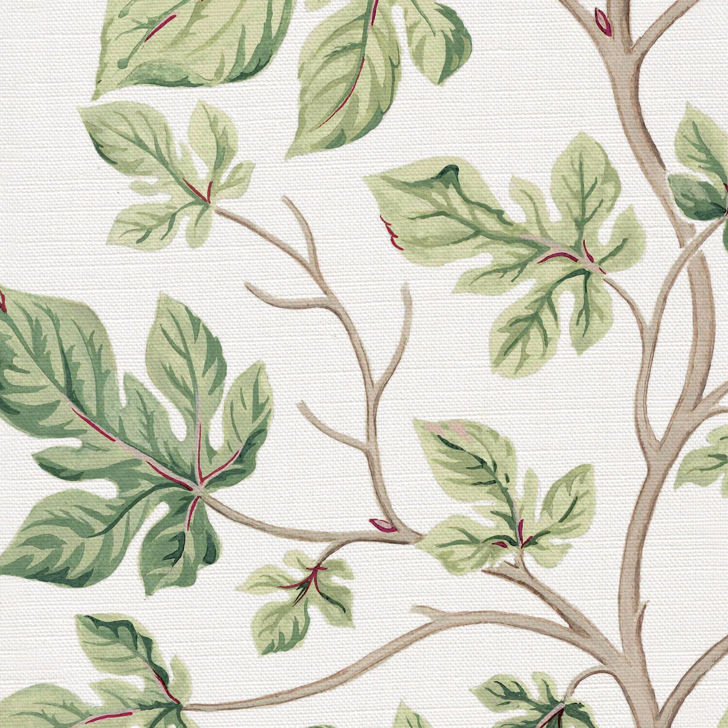 CW: Soft green | BASE: Luxury Linen | HERO