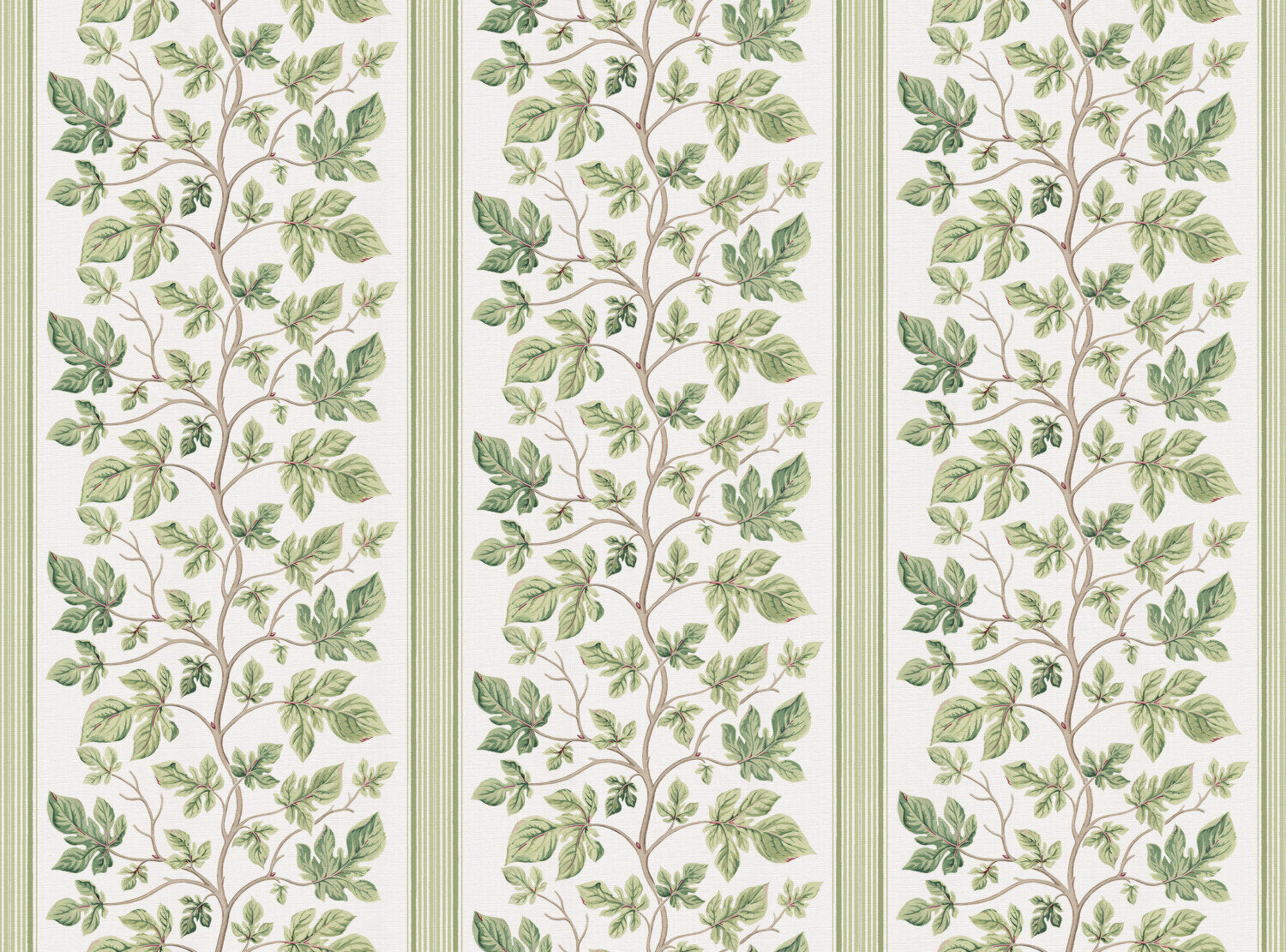 CW: Soft green | BASE: Luxury Linen