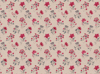 Pinky red and grey blue