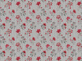AG-NANC-NAT-C11-1M_Metres