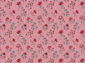 AG-NANC-NAT-C12-1M_Metres