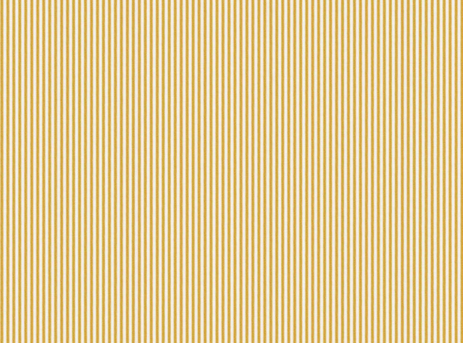 CW: Golden yellow | BASE: Luxury Linen