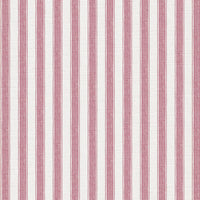 Wild orchid pink white ground