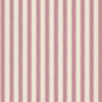 Wild orchid pink