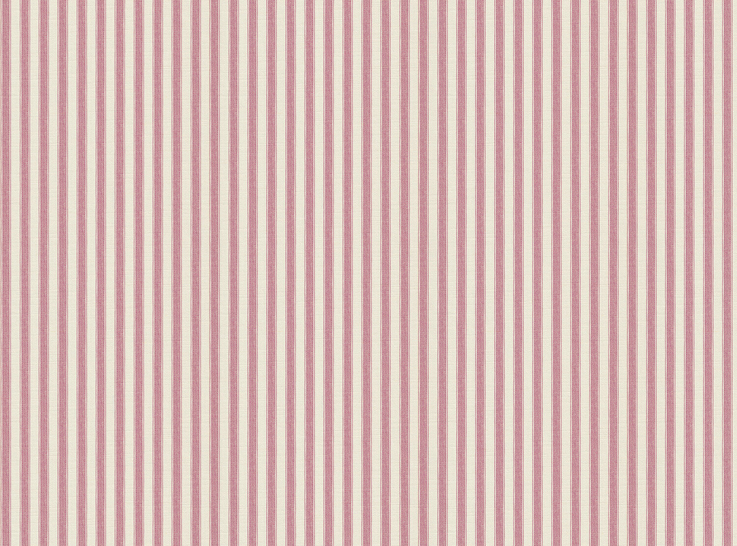 CW: Wild orchid pink | BASE: Luxury Linen