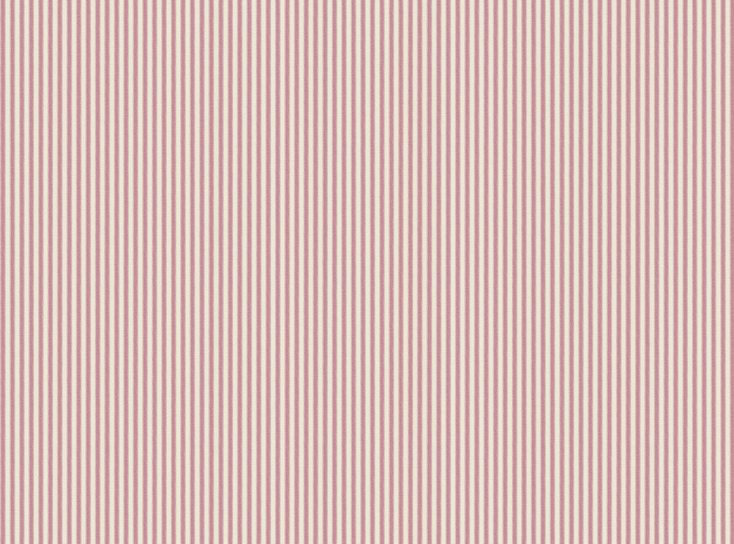 CW: Wild orchid pink | BASE: Luxury Linen
