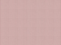 Wild orchid pink white ground