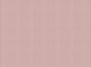 Wild orchid pink white ground