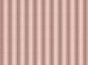Wild orchid pink
