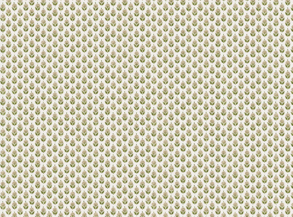CW: Neutral and vintage green | BASE: Luxury Linen