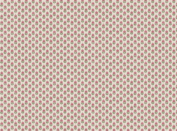 Nitesh soft pink and green