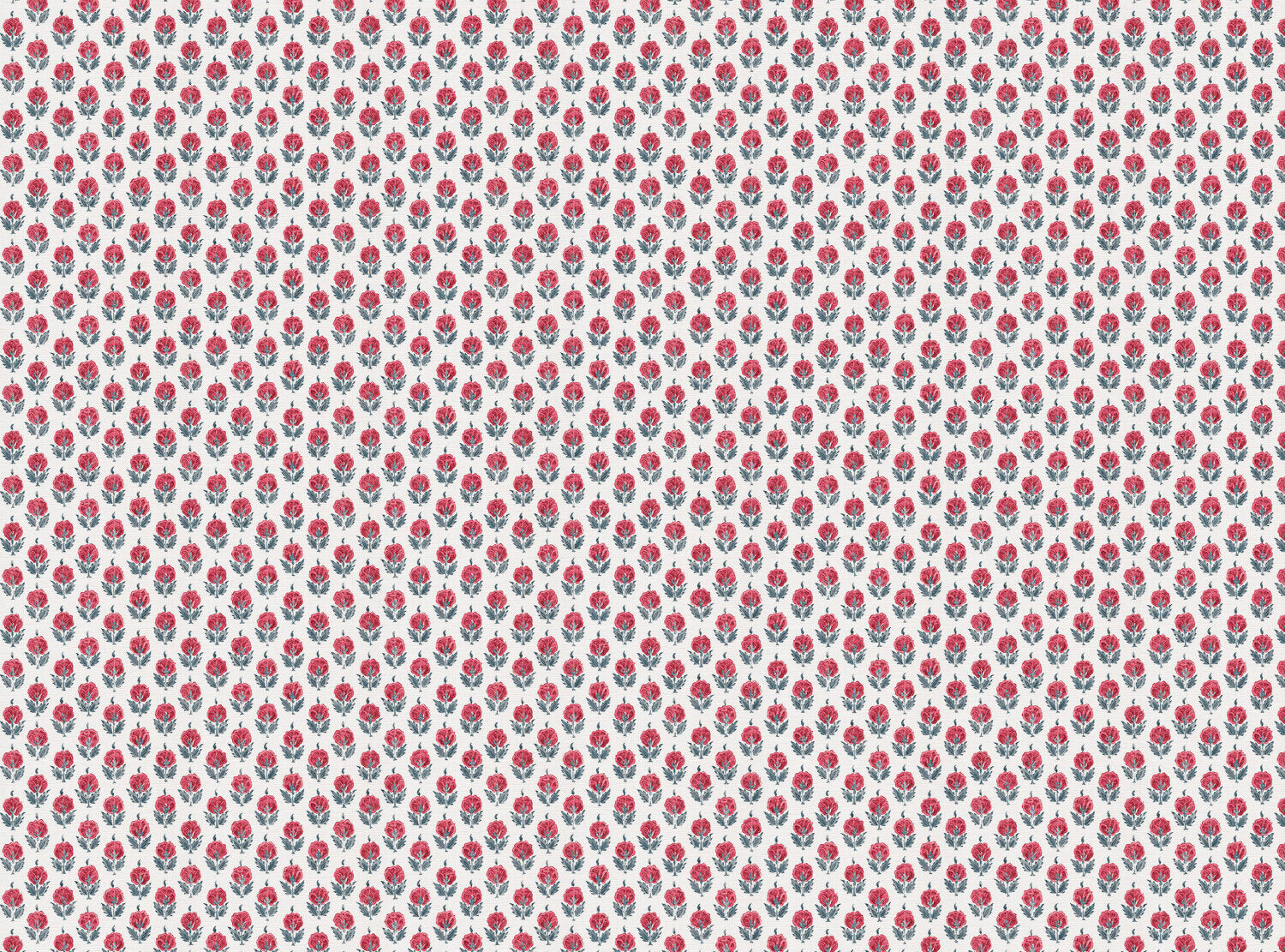 CW: Warm red and blue light ground | BASE: Luxury Linen