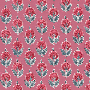 Warm red and blue with red pink ground