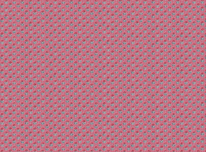 Warm red and blue with red pink ground