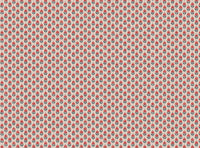 Coral and grey blue