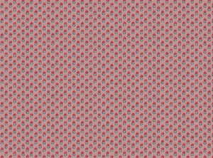 Warm red and blue soft pink ground