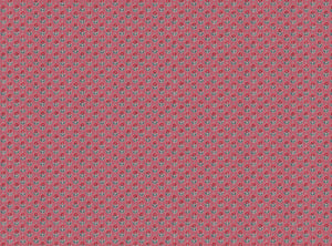 Warm red and blue with red pink ground