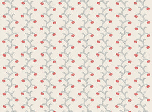Coral and grey blue