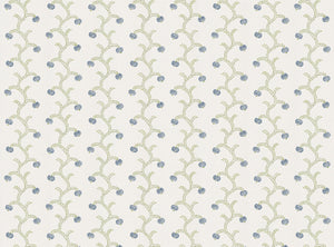 Soft cornflower blue and green