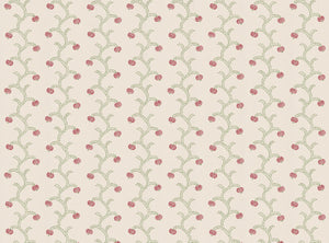 Soft pink and green