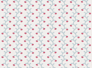 Pinky red and blue