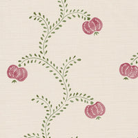 Wild orchid pink and green