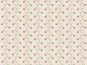 Wild orchid pink and green