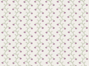 Lavender and fern
