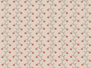 Coral and grey blue