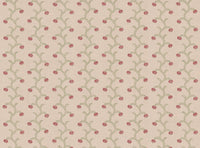 Soft pink and green