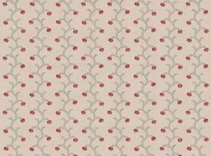 Warm red and grey blue