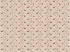 Wild orchid pink and green