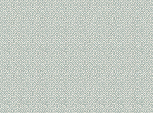 Duck egg