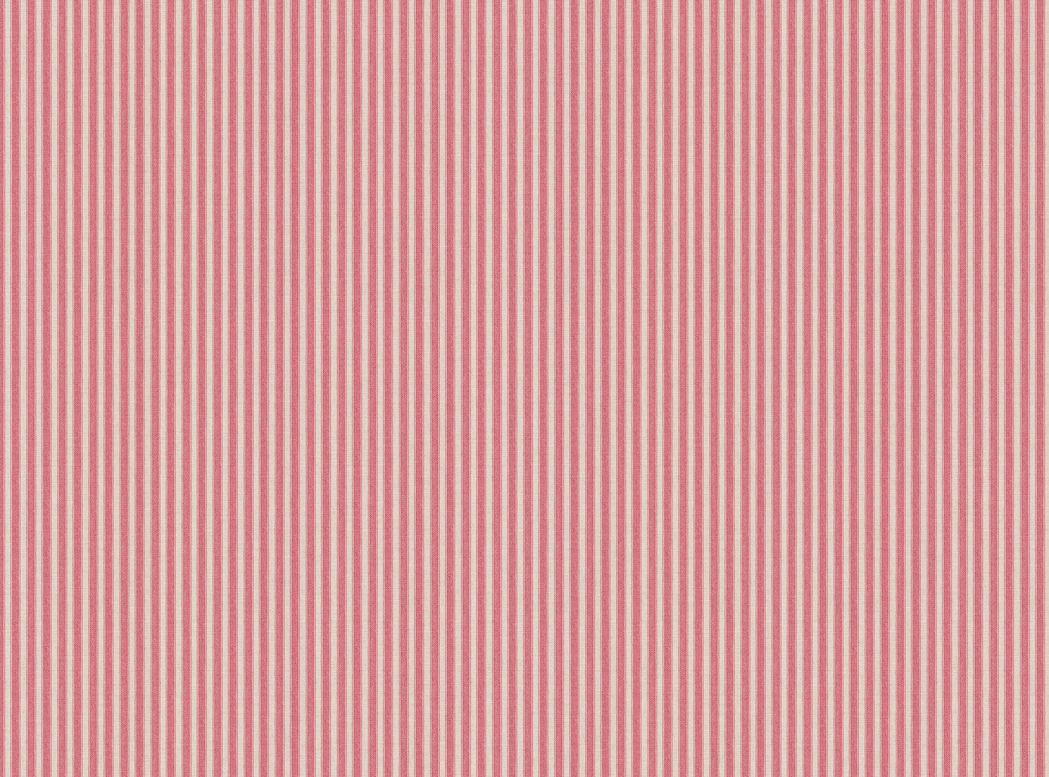 CW: Pink rouge | BASE: Mercia Linen