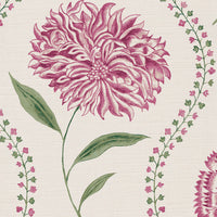 Carmine pink and green