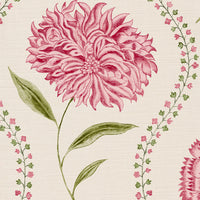 Pink rouge and green