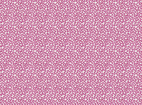 Brightest pink