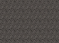 Black ground