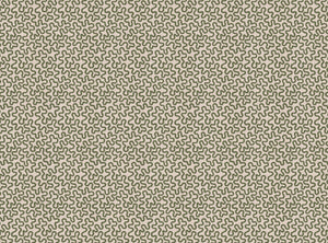 Ochre sage squiggle