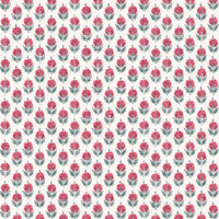 Warm red and grey green