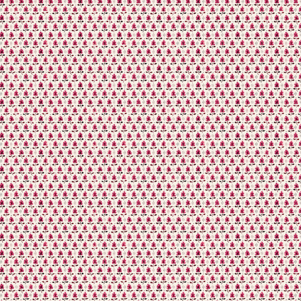 Quercus Wallpaper