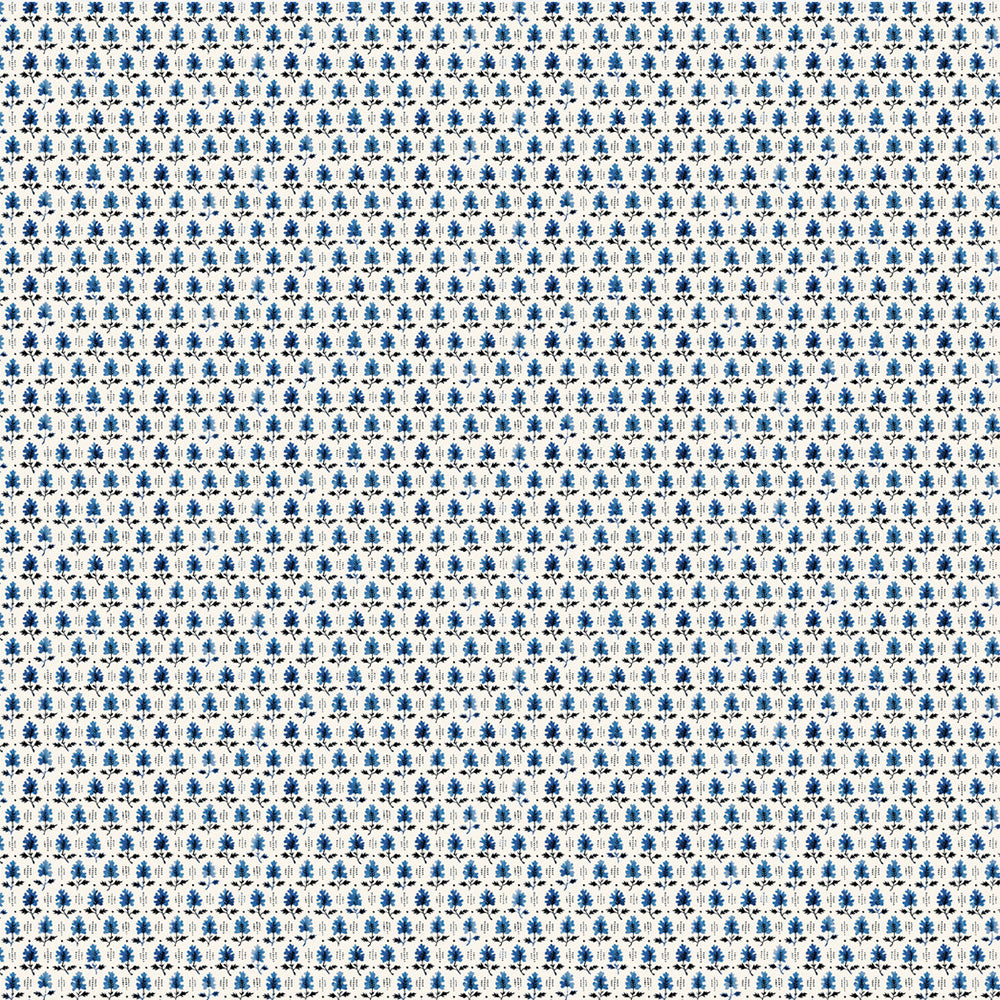 Quercus Wallpaper