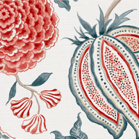 Coral and grey blue white ground