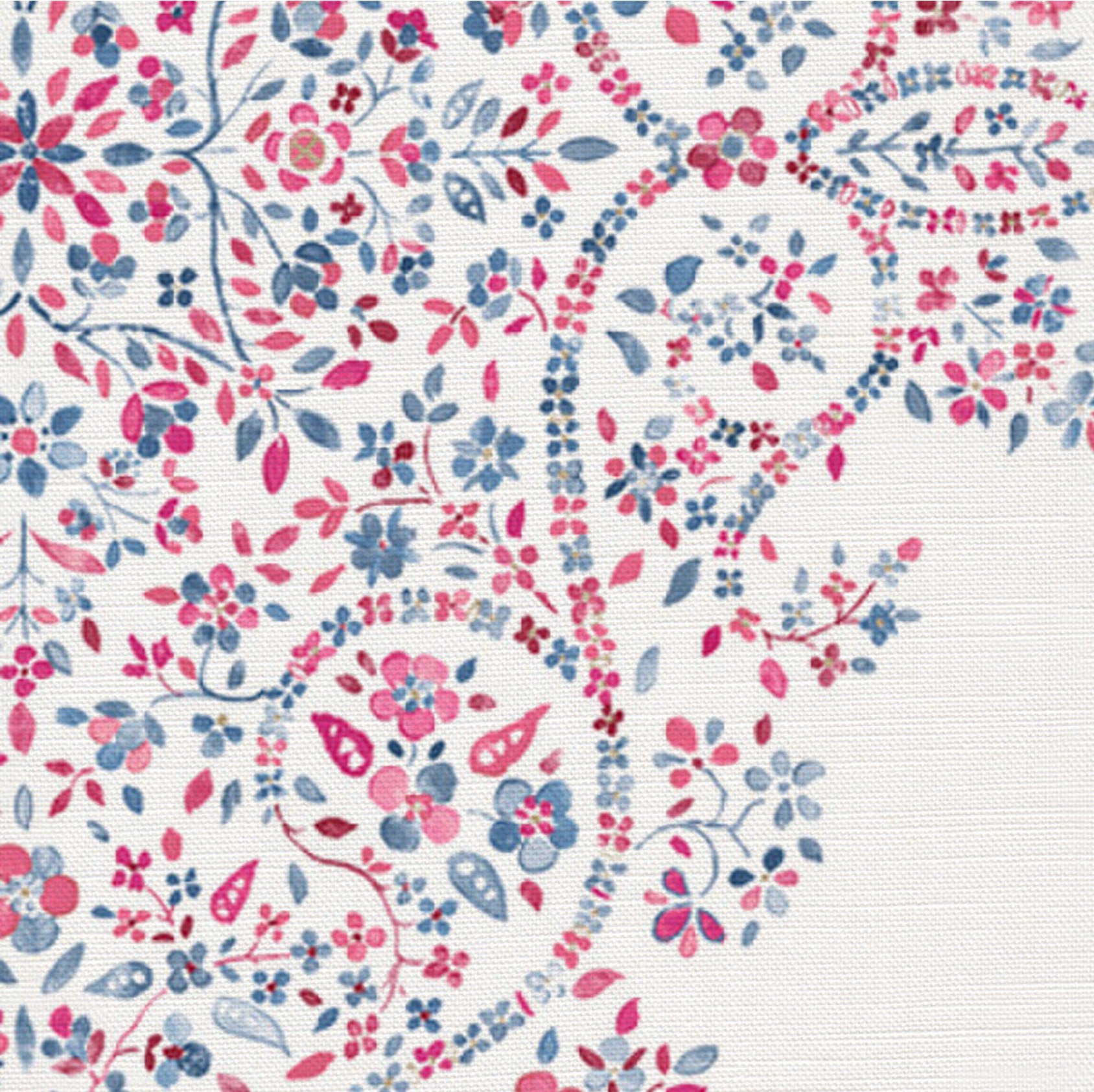 Anaisha Fabric