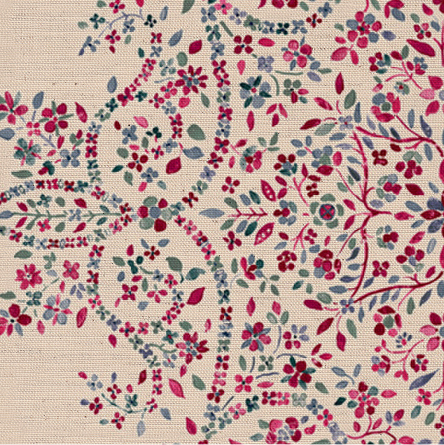 Anaisha Fabric
