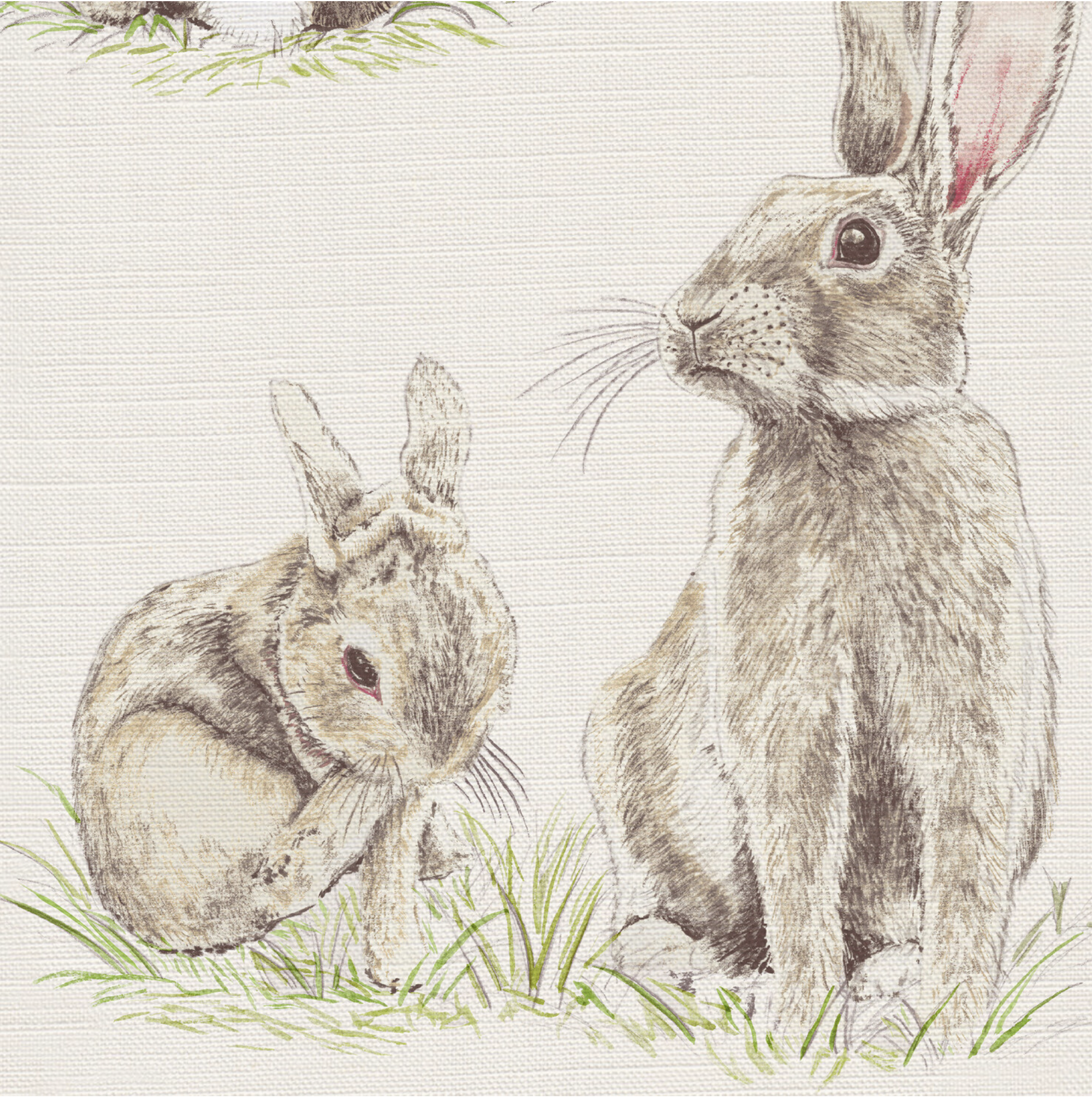 Christopher Rabbit Fabric