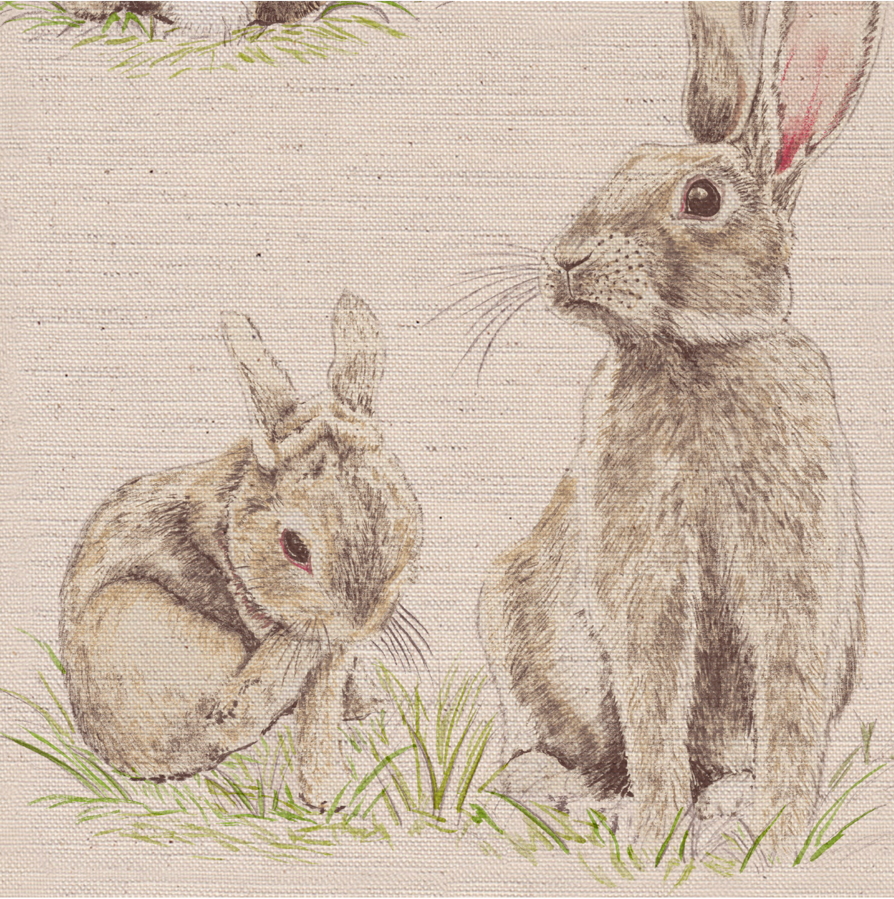 Christopher Rabbit Fabric