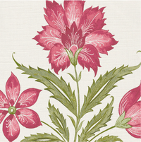 Pink rouge and green